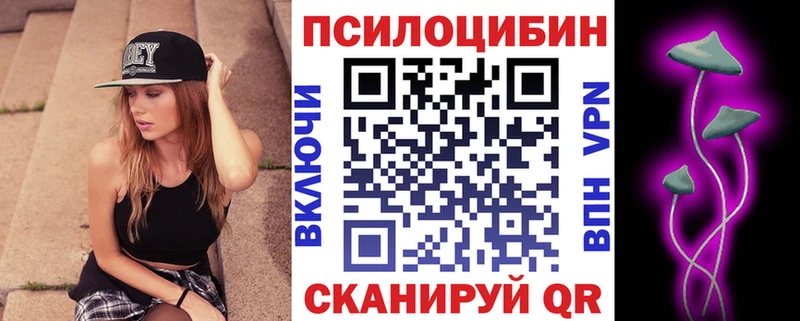 Купить где  Жердевка  Псилоцибиновые грибы GOLDEN TEACHER 
