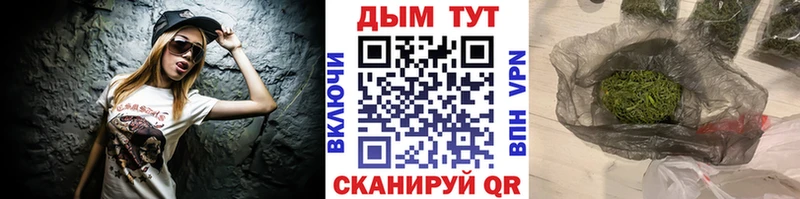 Купить  Жердевка  Бошки марихуана сатива 
